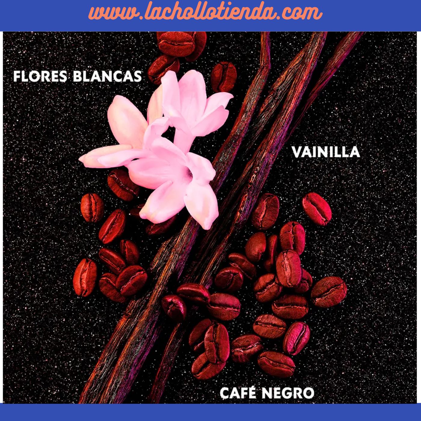 YVES SAINT LAURENT - Black Opium Eau De Parfum para Mujer 50ml.